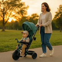 Triciclo Elite Platinum 6 En 1 Asiento Giratorio 360º