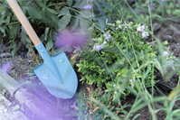 PALA JARDÍN FSC FOREST FRIENDS LITTLE DU