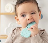 Mordedor Dinosaurio de Kiokids