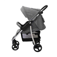 SILLA PASEO PARIS GRIS 22 KG