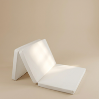 Colchón plegable 59/118/5 cm poliéster Gris Claro