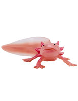 Axolote