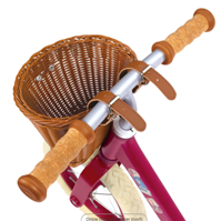 Cesta de Bicicleta