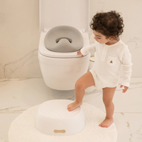 Orinal 3 en 1 Trio Gris