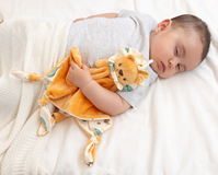 DOUDOU LEÓN 30 CM