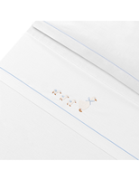 TRIPTICO CUNA PATITOS FAMILIA Y BROCHE BLANCO CELESTE