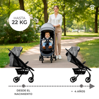SILLA DE PASEO COTTON 2 GRIS/NEGRO 22 KG
