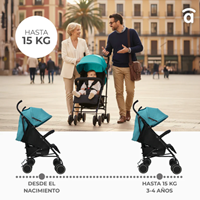 SILLA DE PASEO TOKYO ANTRACITA 15 KG