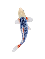 Carpa Asagi