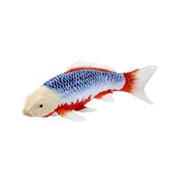Carpa Asagi