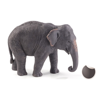 Elefante asiático
