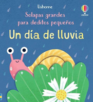 Un día de lluvia. Libro con solapas