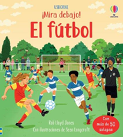 Libro El fútbol