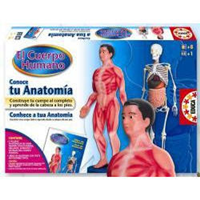 Conoce tu anatomia