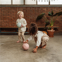 PELOTA MINI FLORES & MARIPOSAS LITTLE DUTCH