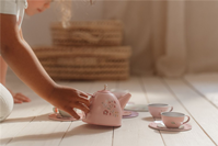 SET DE TÉ FAIRY GARDEN LITTLE DUTCH