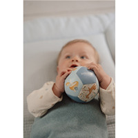 PELOTA MINI BLANDITA FOREST FRIENDS